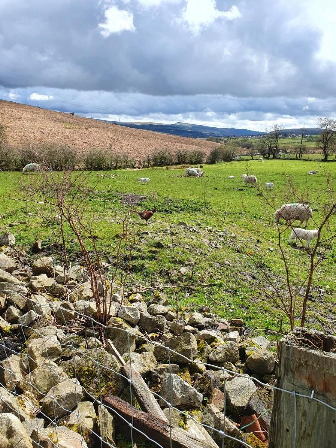 Wales' Highest Village - The Chartist Cottage - Trefil Tredegar Exterior foto